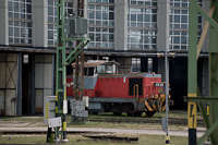 kép