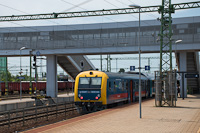 kép
