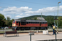 kép