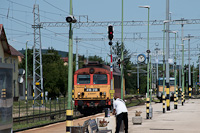 kép