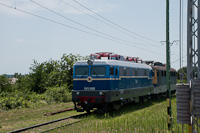 kép