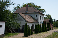 kép