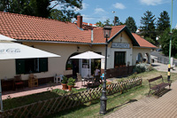 kép
