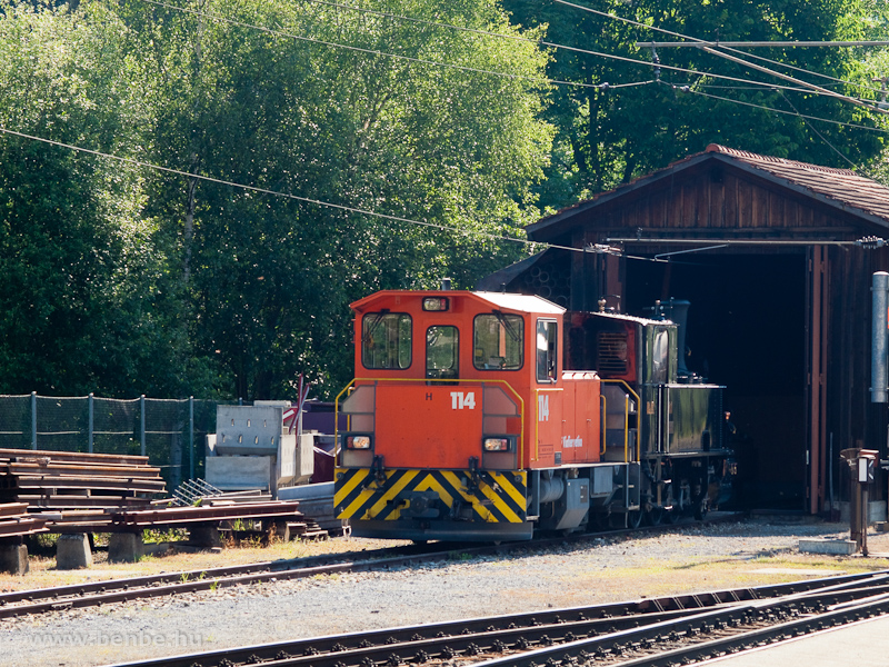 A Tm 2/2 114 egy meglepetsvendget hz ki az ilanzi fűtőhzbl fot