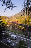 The RhB Ge 6/6<sup>II</sup> 705 is hauling a freight train from Disentis/Mustr to Landquart on the Hinterrhein-bridge by Reichenau-Tamins