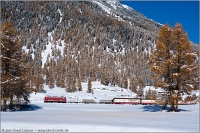 A Ge 4/4<sup>I</sup> class old electric locomotive is pulling a freight train in the snow-covered Val Bever on its way to Alp Spinas and Albulatunnel