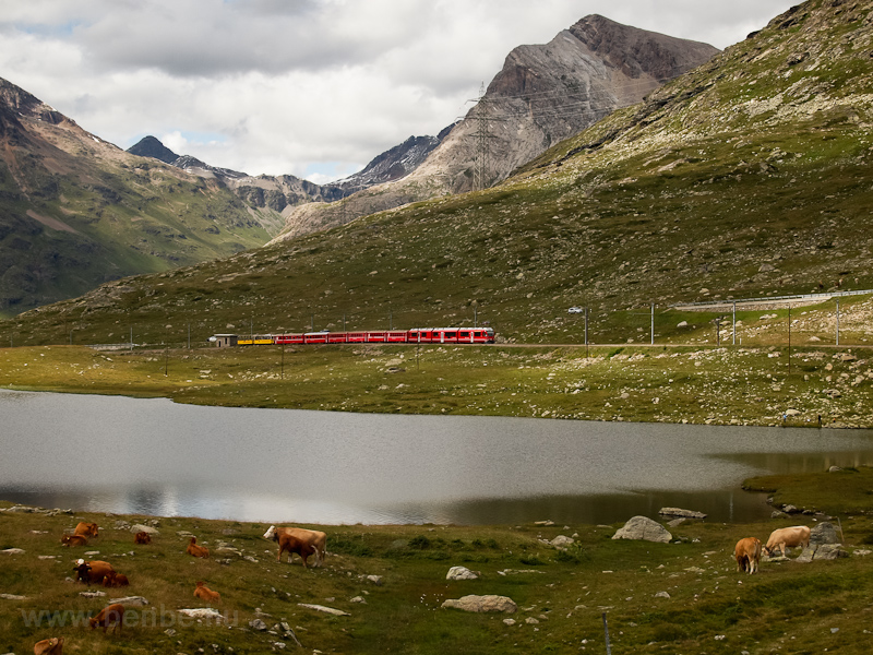 A Stadler Allegra trainset hauled St. Moritz - Tirano passenger train between Bernina Lagalb and Ospizio Bernina stations photo