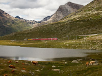 A Stadler Allegra trainset hauled St. Moritz - Tirano passenger train between Bernina Lagalb and Ospizio Bernina stations