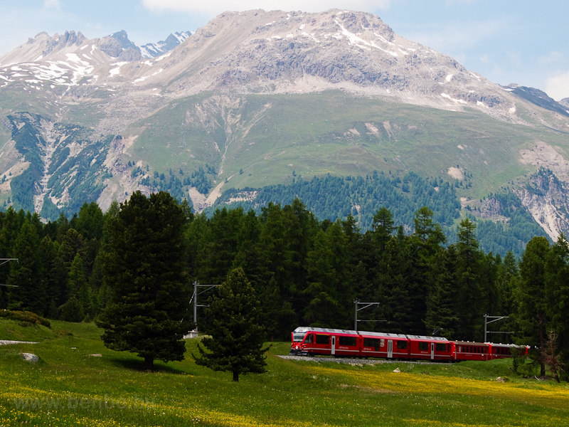 Punt Muragl s Pontresina kztt a vonatbl: szpen ltszik, hogy velnk pontosan egyidőben fut be Sankt Moritz felől a Berninra tart vonat fot