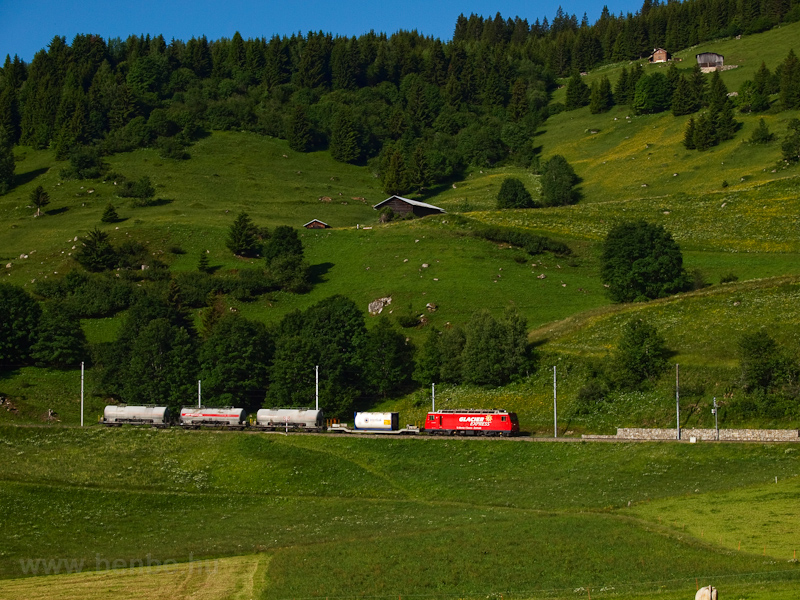 The Matterhorn-Gotthardbahn HGe 4/4 photo