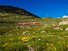 The Rhtische Bahn ABe 4/4<sup>III</sup> 53+54 seen between Bernina Lagalb and Ospizio Bernina