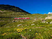 The Rhtische Bahn ABe 4/4<sup>III</sup> 53+54 seen between Bernina Lagalb and Ospizio Bernina