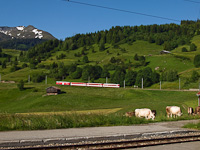The Matterhorn-Gotthardbahn Deh 4/4<sup>I</sup> 21 seen between Momp Tujetsch and Segnas