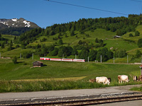 A Matterhorn-Gotthardbahn Deh 4/4<sup>I</sup> 21 Mompé Tujetsch és Segnas között