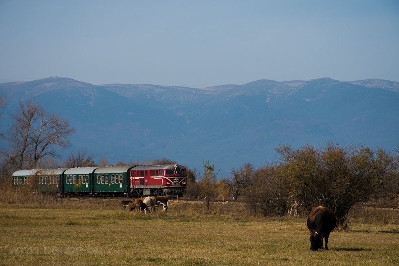 A BDŽ 75  006-7 Bansko s Sveti Georgi kztt fot