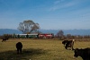 A BDŽ 75  006-7 Bansko és Sveti Georgi között
