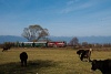 The BDŽ 75  006-7 seen between Bansko and Sveti Georgi