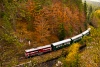 The BDŽ 75 008-3 seen between Cherna Mesta and Smolevo