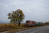 The BDŽ 75 006-7 seen between Septemvri and Pamporovo