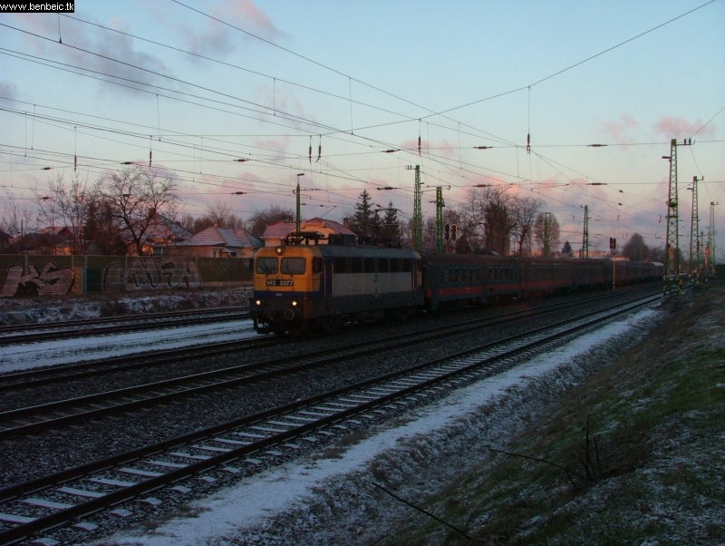 V43 2377 Vecss pratlan vgben fot