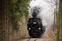 The Steyrtalbahn - GEG 498.04 seen between Letten and Aschach an der Steyr