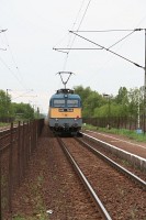 kép