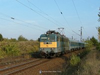 kép