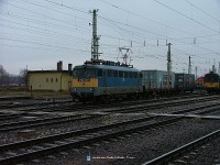 kép