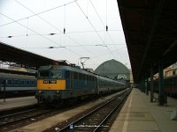 kép