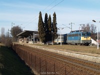 kép