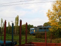 kép