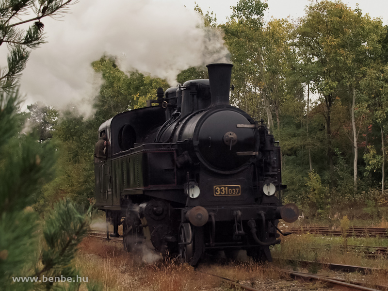 The 331,037 at Strasshof photo