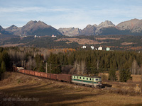 The ŽSCS 183 038-9 is hauling a freight train between Csorba (Štrba) and Csorba megll (Štrba zastvka) in the High Tatras