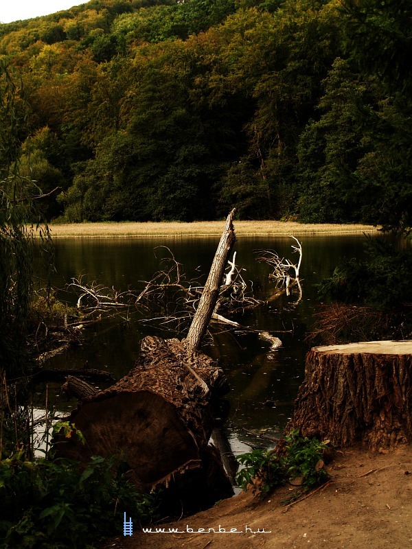 Szalajka-fishpond photo