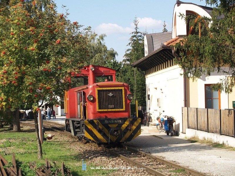 Mk48-414 Szalajka-Fatelepen fot