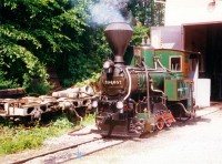 The steam locomotive 394,057 named Szilvi at the depot of the Szilvásvárad Forest Railway