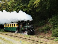 The 394,057 at Szalajka-Halast station