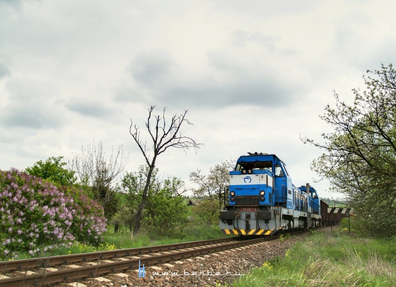The 736 007-6 and his twin arriving at Filakovo from the direction of Jesensk photo