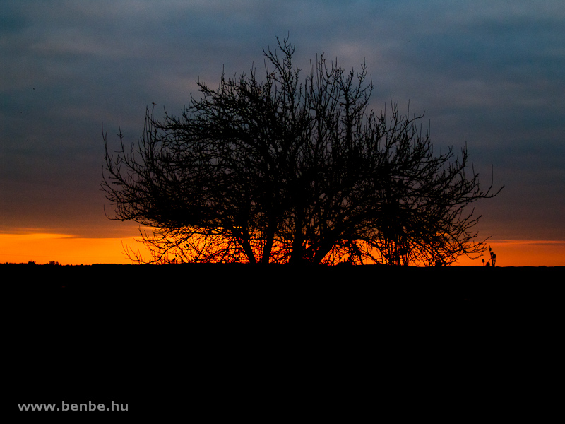 Sunset by Porcsalma-Tyukod photo