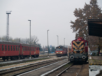 kép
