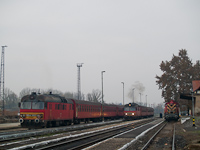 kép