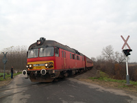 kép