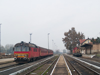 kép