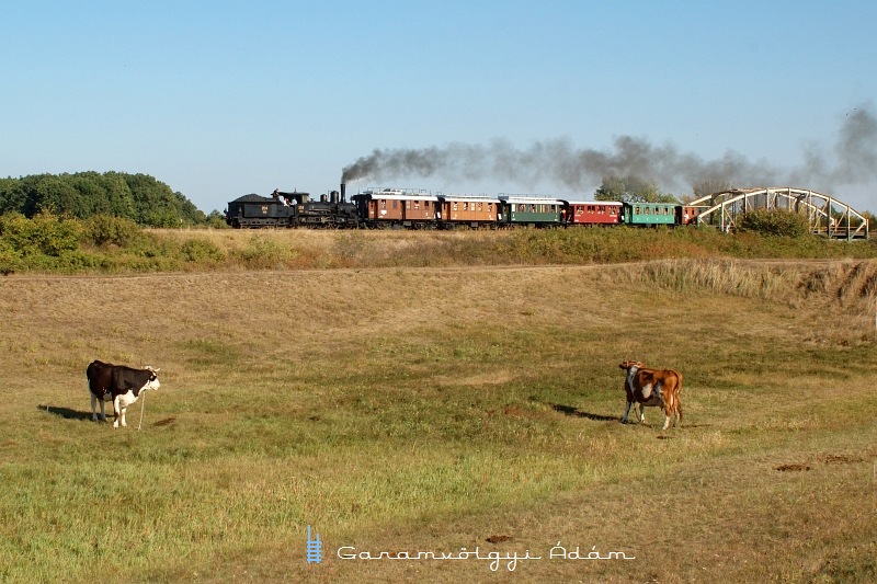 A 220,194 a jászdózsai Tarn fotó
