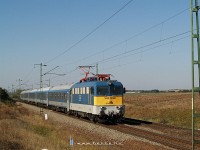 kép