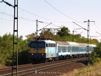 kép