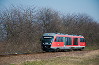 kép