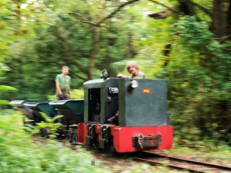 The P-5 of the Kemence Forestry Museum Railway between Kőrzsa and Csarnapuszta with a work train photo