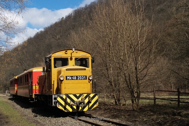 Mk48 2031 Királyréten az  fotó