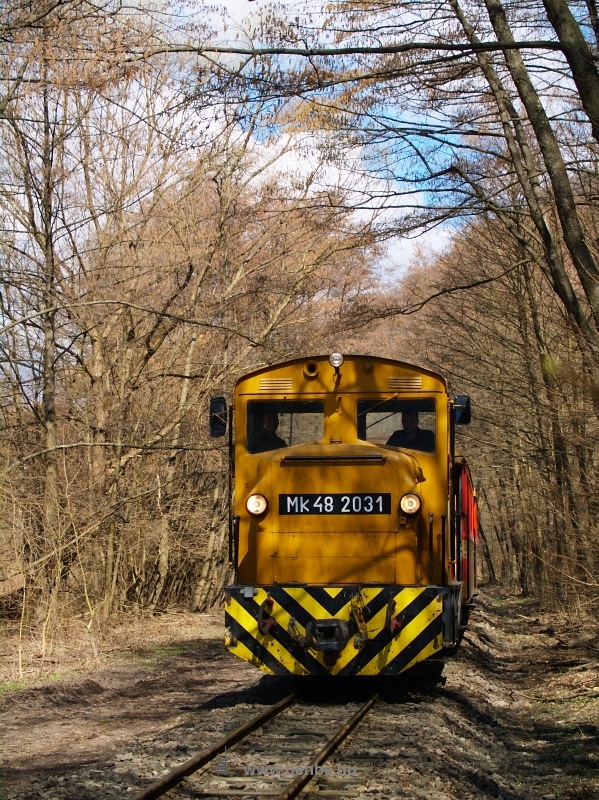 Mk48 2031 Királyréten az  fotó